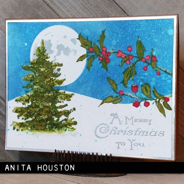 Tim Holtz Cling Rubber Stamps WINTER WATERCOLOR 2 CMS443 full moon
