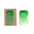 Tim Holtz Distress Watercolor Pencil Rustic Wilderness Ranger Swatch