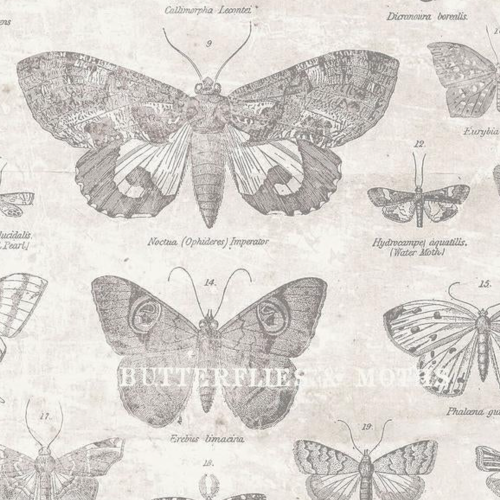 Tim Holtz Eclectic Elements Fabric By The Yard Monochrome Butterflies Parchment light noctua monarch