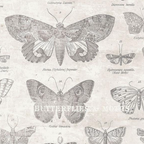 Tim Holtz Eclectic Elements Fabric By The Yard Monochrome Butterflies Parchment light noctua monarch