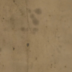 Tim Holtz Eclectic Elements Fabric By The Yard Provisions 2 Mocha light brown 