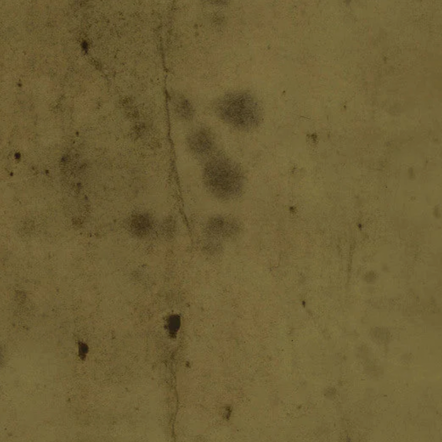 Tim Holtz Eclectic Elements Fabric By The Yard Provisions 2 Moss light brown green earth tones