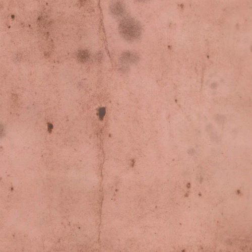 Tim Holtz Eclectic Elements Fabric By The Yard Provisions 2 Rose light pink