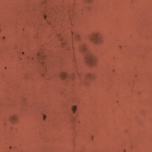 Tim Holtz Eclectic Elements Fabric By The Yard Provisions 2 Rust red orange