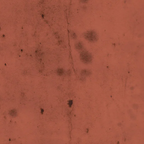 Tim Holtz Eclectic Elements Fabric By The Yard Provisions 2 Rust red orange