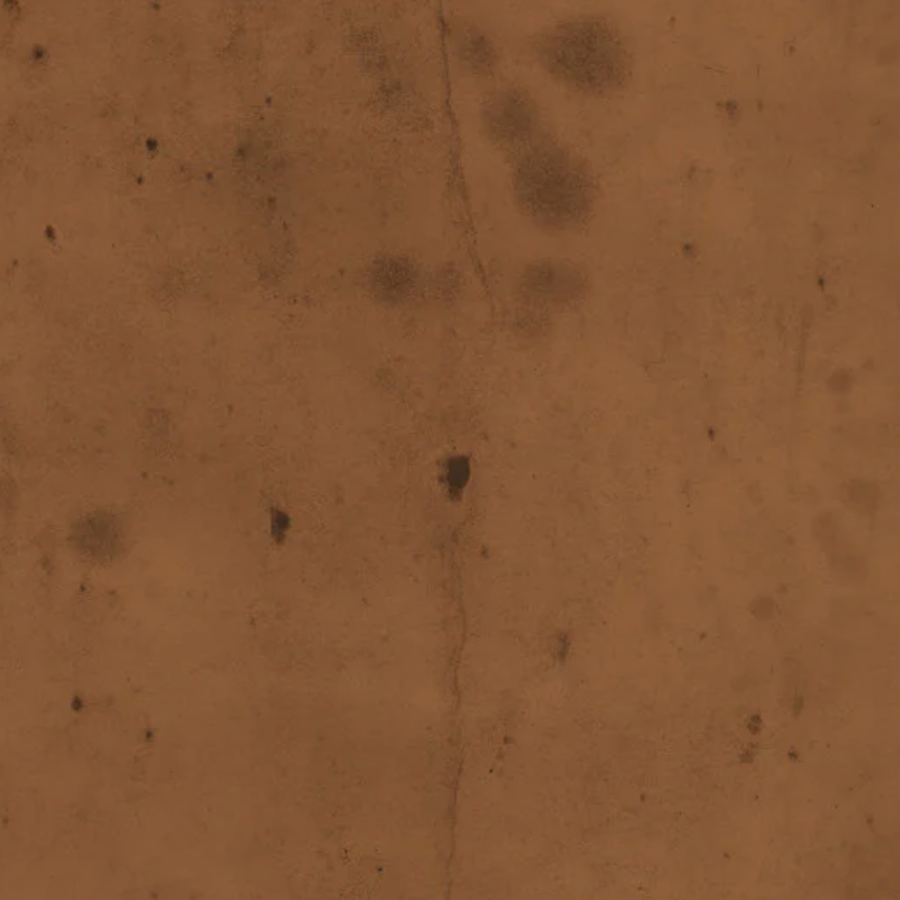 Tim Holtz Eclectic Elements Fabric By The Yard Provisions 2 Sienna brown orange earth tones