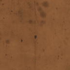 Tim Holtz Eclectic Elements Fabric By The Yard Provisions 2 Sienna brown orange earth tones