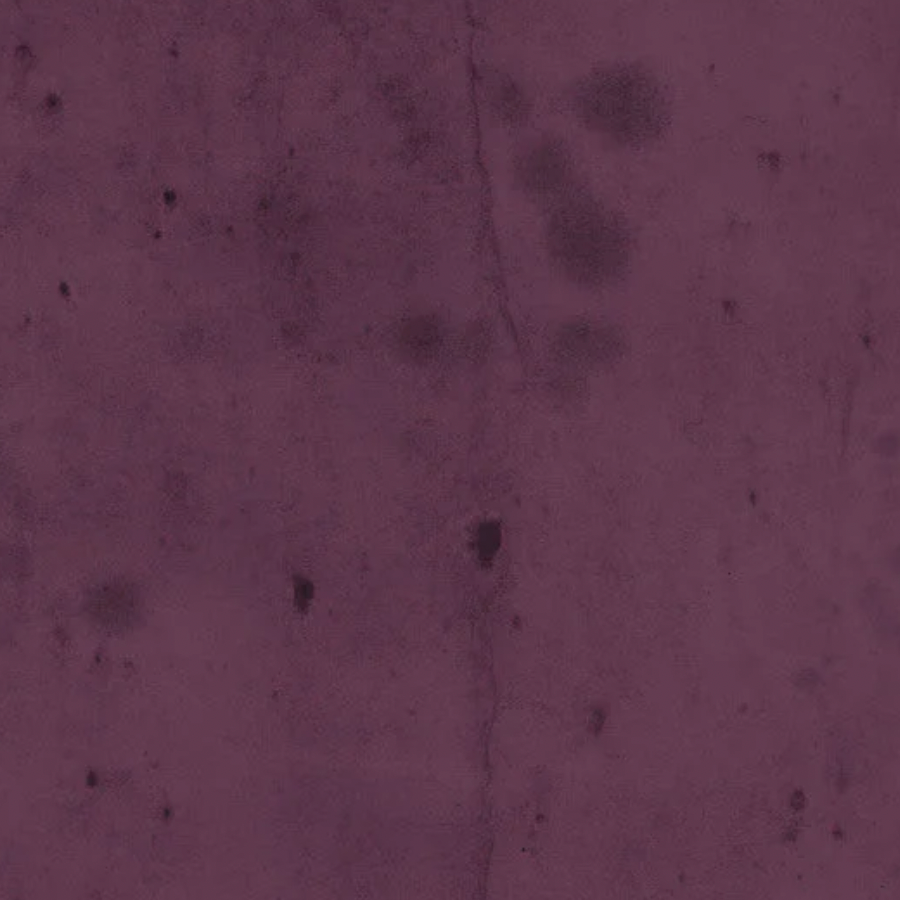 Tim Holtz Eclectic Elements Fabric By The Yard Provisions 2 Vineyard plum purple 