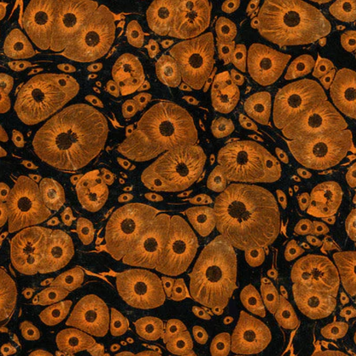 Tim Holtz Eclectic Elements Laboratory Fabric By The Yard Molecular
Close up orange black microscope