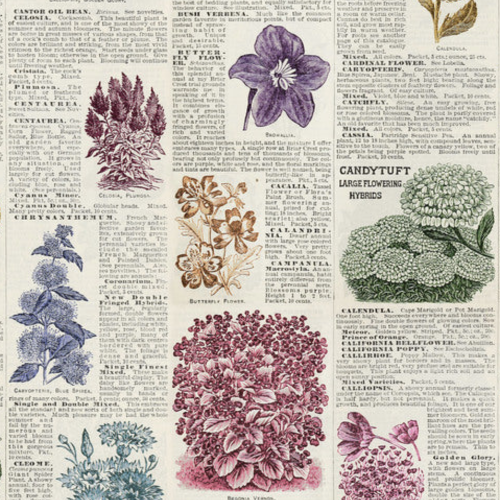 Tim Holtz Fabric By The Yard Multi Botany pwth327 Eclectic Elements Palette close