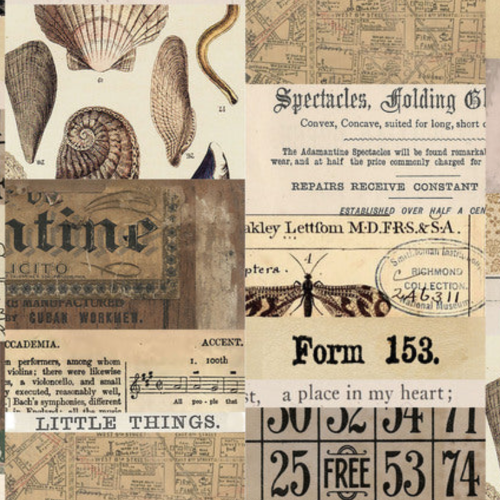 Tim Holtz Fabric By The Yard Neutral Collage pwth250 Eclectic Elements Palette
close