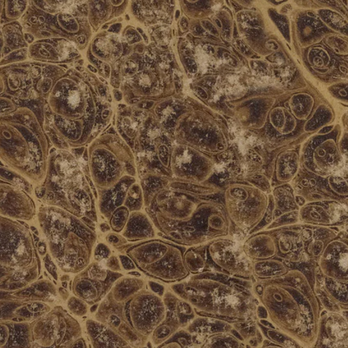  Tim Holtz Fabric By The Yard Neutral Marble pwth259 Eclectic Elements Palette light brown tan blending bubbles