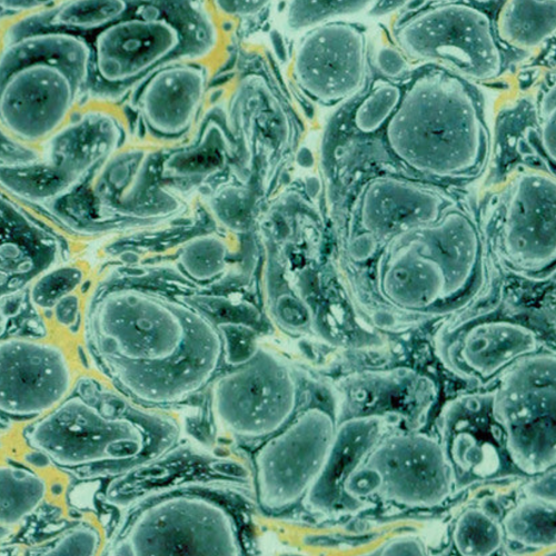 Tim Holtz Fabric By The Yard Teal Marble pwth279 Eclectic Elements Palette close