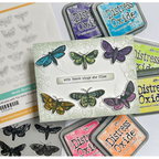 Tim Holtz Moth Study Stamps with Simon Says Stamp Dies Bundle setms26 Brave Wings Colorful Moths Card Barb Engler | color-code:ALT06
