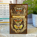 Tim Holtz Moth Study Stamps with Simon Says Stamp Dies Bundle setms26 Find Joy Mixed Media Moth Card Tami Bastiaans | color-code:ALT07