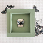Tim Holtz Moth Study Stamps with Simon Says Stamp Dies Bundle setms26 Moth in a Frame Renée Bergeron