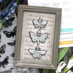 Tim Holtz Moth Study Stamps with Simon Says Stamp Dies Bundle setms26 Moths in a Frame Shari Carroll | color-code:ALT03