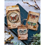 Tim Holtz Moth Study Stamps with Simon Says Stamp Dies Bundle setms26 Vintage Mixed Media Moth Projects Emma Williams | color-code:ALT01