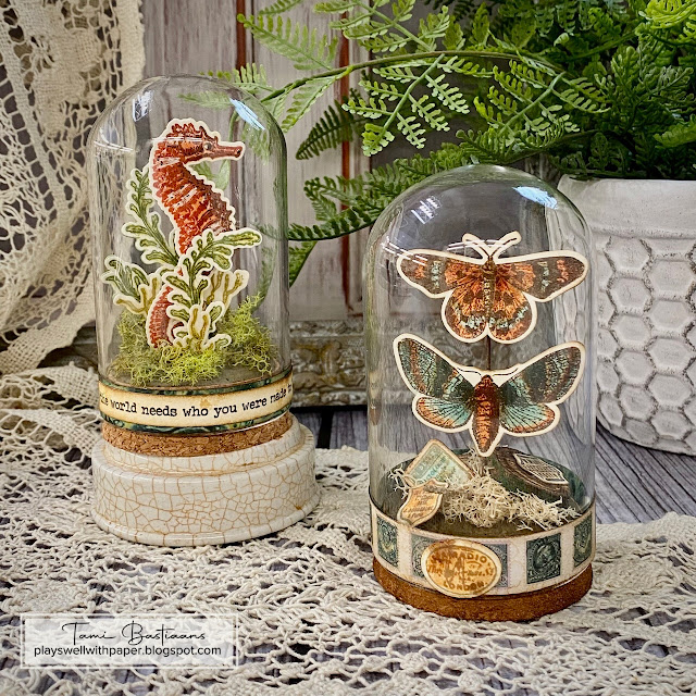 Tim Holtz Sea Life Stamps with Simon Says Stamp Dies Bundle setsl26 Mixed Media Dome Decor Tami Bastiaans | color-code:ALT01