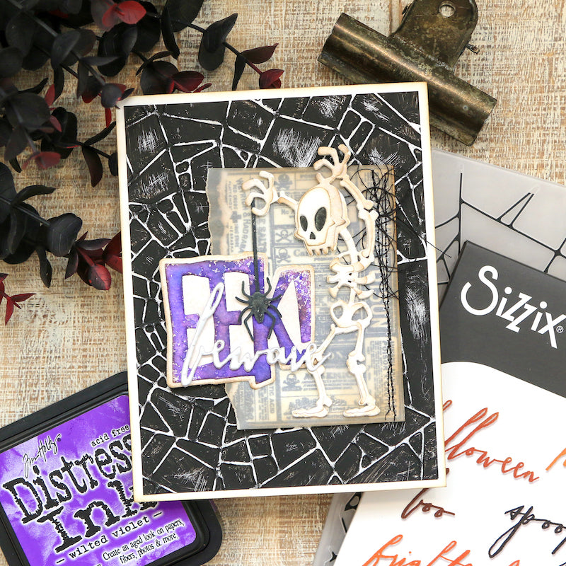 Tim Holtz Sizzix Large Embossing Folder Cobwebs and Pad Bundle black sting skeleton spider eek card juliana michaels