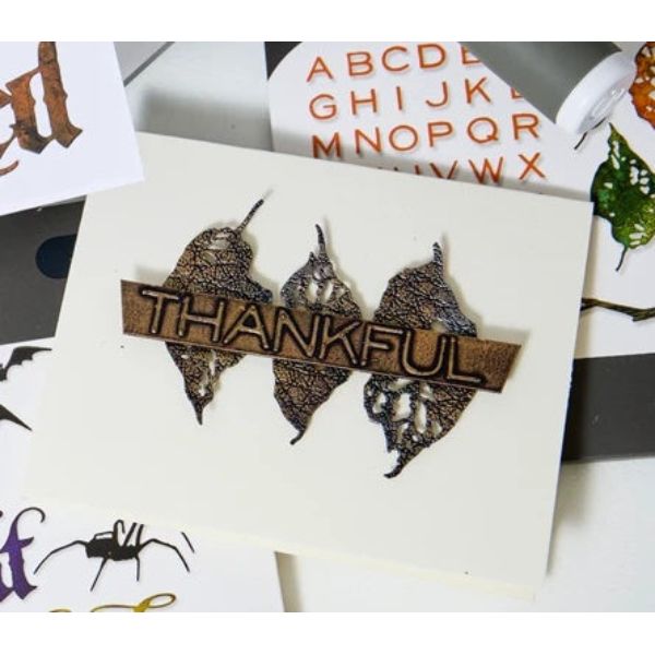 Tim Holtz Sizzix Large Embossing Folder Cracked Leather and Pad Bundle white card leaves thanksful card