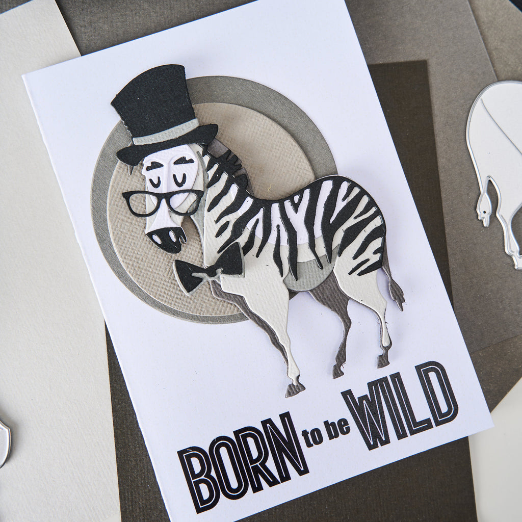 Tim Holtz Sizzix Mini Winifred and Accessories Colorize Thinlits Die Bundle born to be wild