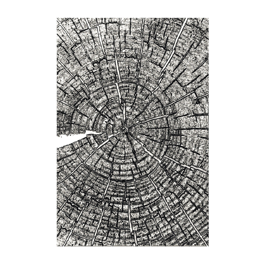 Tim Holtz Sizzix Tree Rings Large A5 Embossing Folder 667258 line work