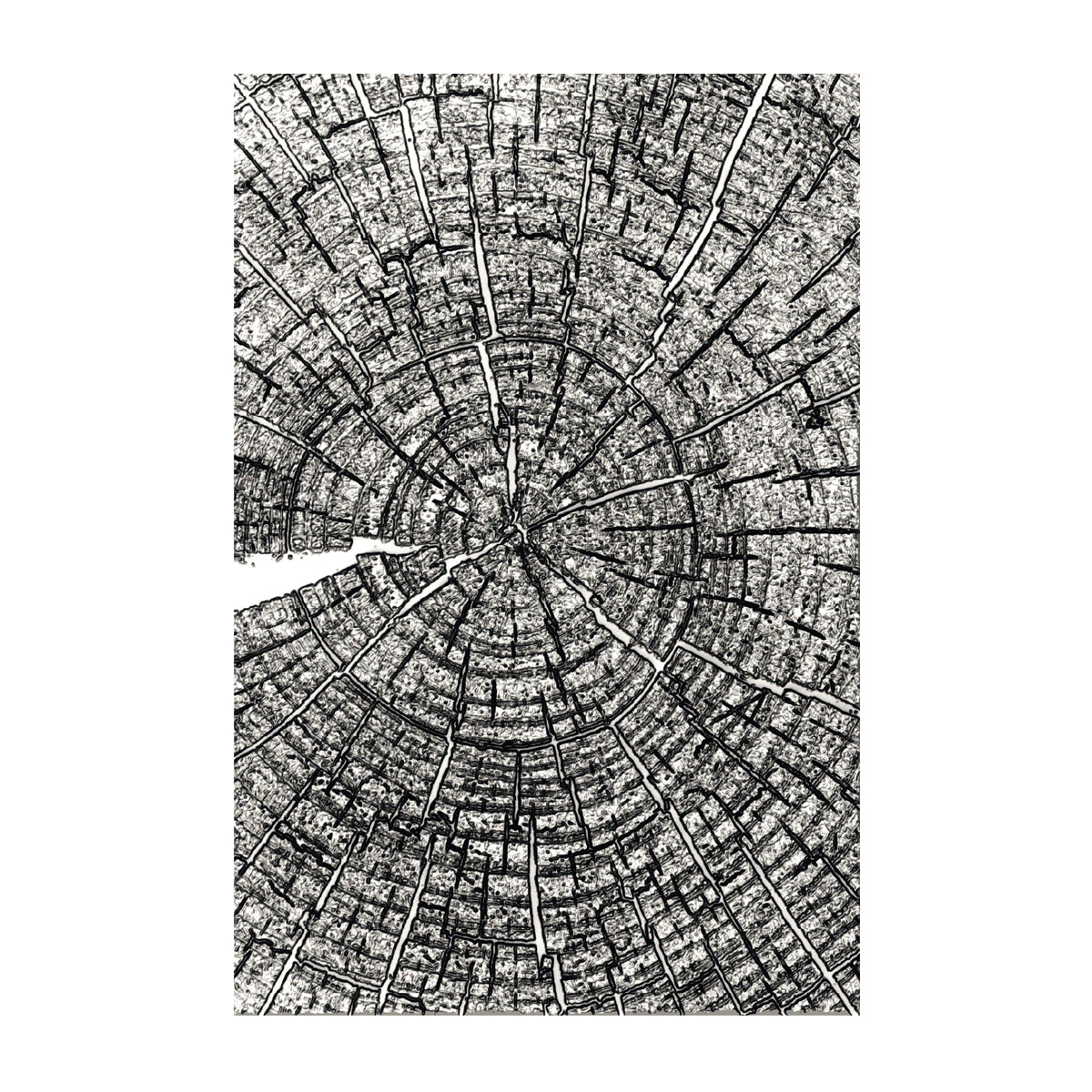 Tim Holtz Sizzix Tree Rings Large A5 Embossing Folder 667258 line work