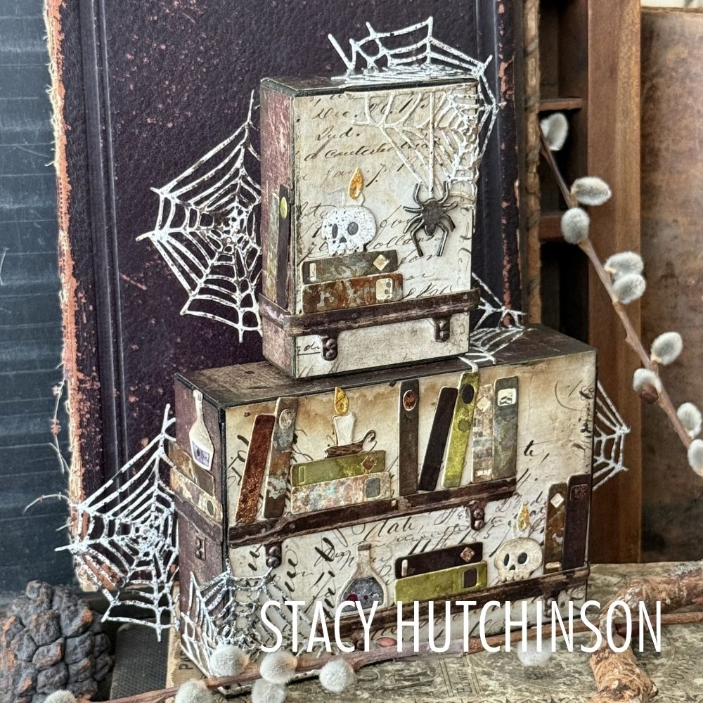 Tim Holtz Sizzix Vault Laboratory Sidekick Side-Order Thinlits Dies and Texture Fade 666911 books skull heads spider box stacy hutchinson
