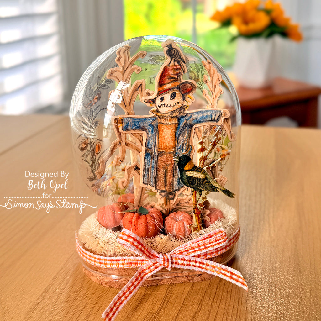 Tim Holtz The Scarecrow Stamps with Simon Says Stamp Dies Bundle setsc26 Beth Opel Fall Reliquary Dome