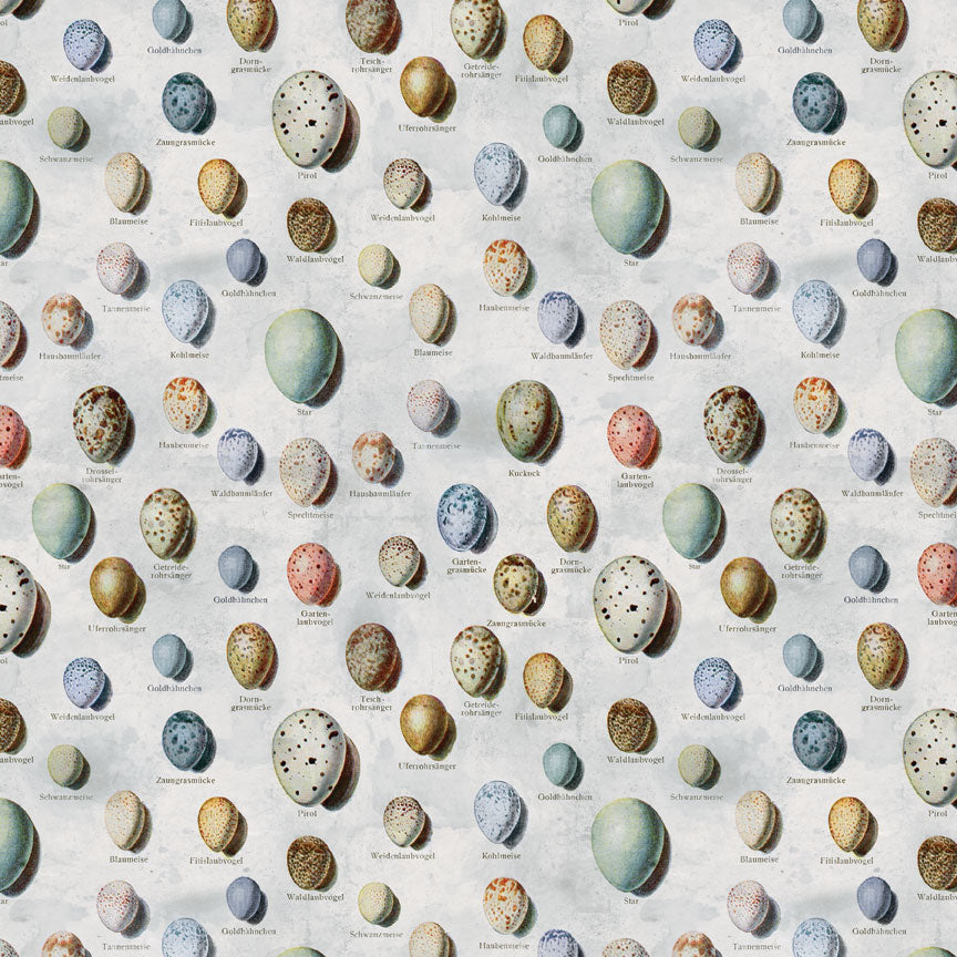 Tim Holtz idea-ology Blue 12 x 12 Palette Paper Collection th94463 egg