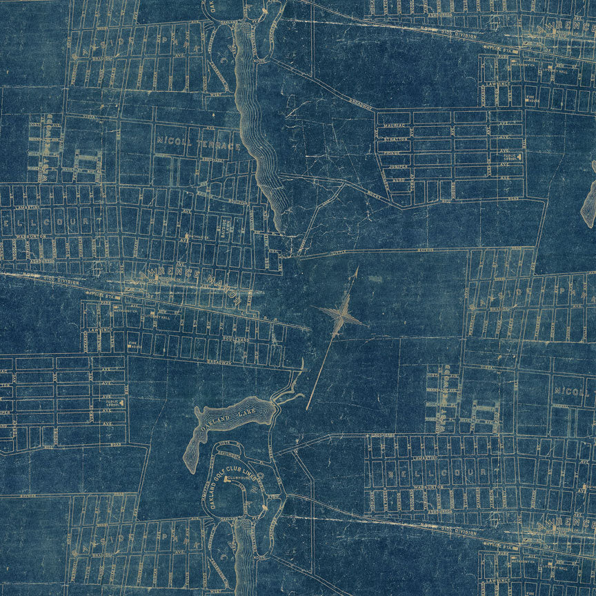 Tim Holtz idea-ology Blue 12 x 12 Palette Paper Collection th94463 map