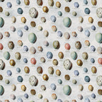 Tim Holtz idea-ology Blue 8 x 8 Palette Paper Collection th94477 egg