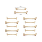Tim Holtz idea-ology 2024 Halloween Boneyard th94391