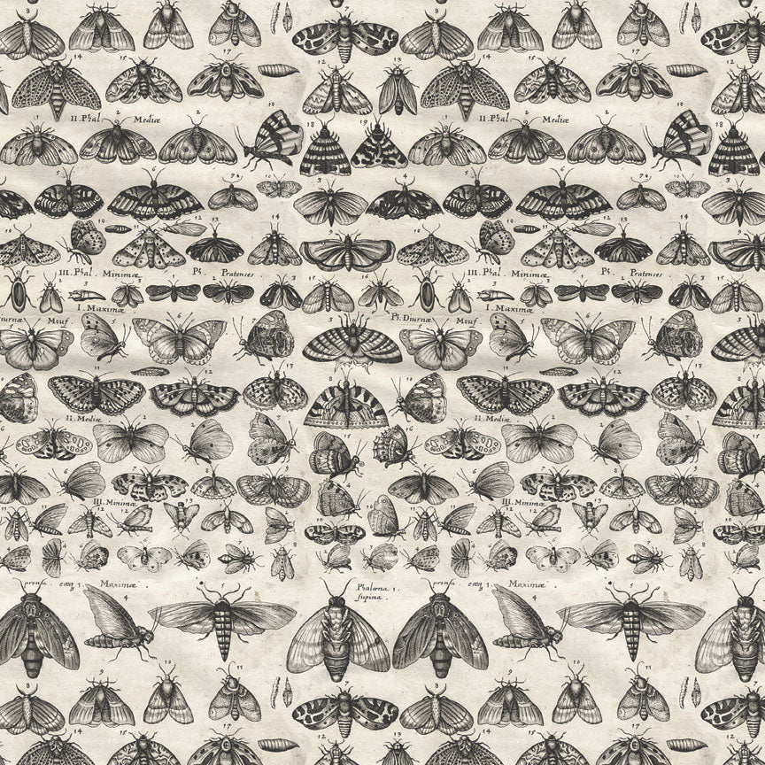 Tim Holtz idea-ology Charcoal 12 x 12 Palette Paper Collection th94465 bugs