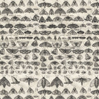 Tim Holtz idea-ology Charcoal 12 x 12 Palette Paper Collection th94465 bugs