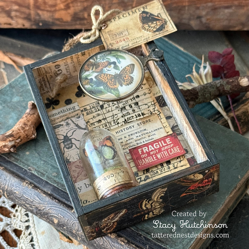 Tim Holtz idea-ology Display Domes Mini th94345 butterfly
