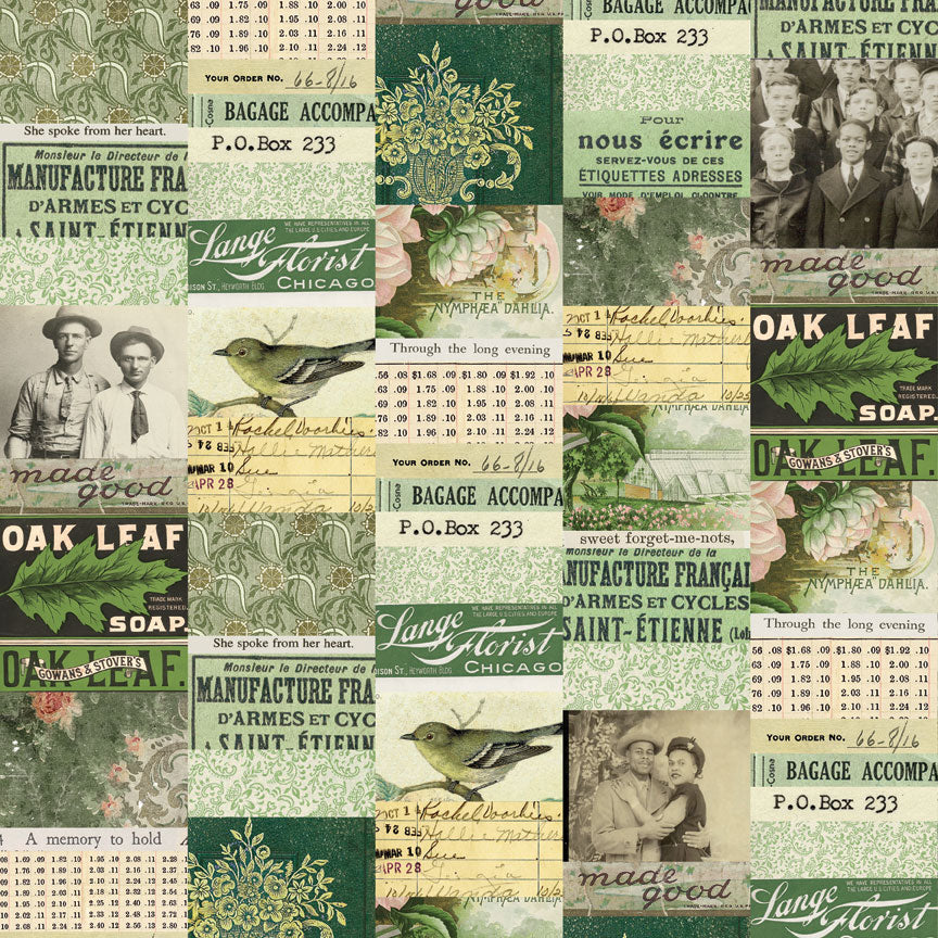 Tim Holtz idea-ology Green 12 x 12 Palette Paper Collection th94460 collage