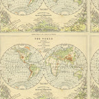 Tim Holtz idea-ology Green 8 x 8 Palette Paper Collection th94474 map
