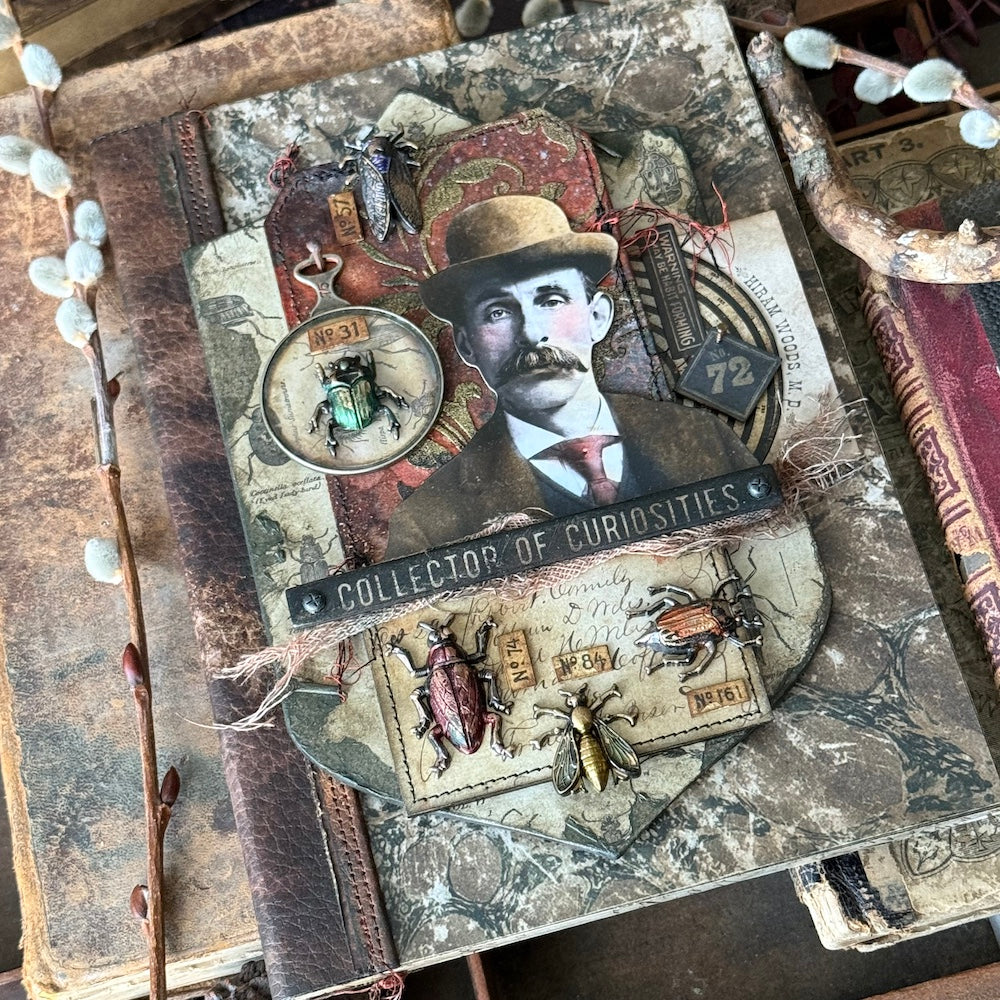 Tim Holtz idea-ology Halloween Backdrops th94433 stacy | color-code:ALT02