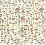 Tim Holtz idea-ology Orange 12 x 12 Palette Paper Collection th94457 mushroom