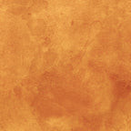 Tim Holtz idea-ology Orange 12 x 12 Palette Paper Collection th94457 pattern