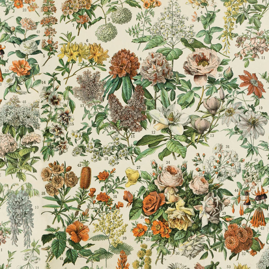 Tim Holtz idea-ology Orange 8 x 8 Palette Paper Collection th94471 floral