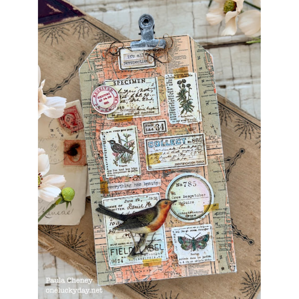 Tim Holtz idea-ology Orange 8 x 8 Palette Paper Collection th94471 paula | color-code:ALT01