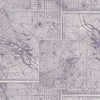 Tim Holtz idea-ology Purple 12 x 12 Palette Paper Collection th94464 map
