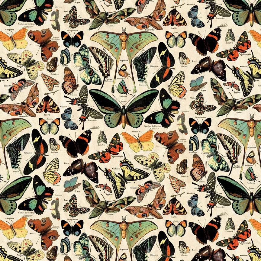 Tim Holtz idea-ology Teal 8 x 8 Palette Paper Collection th94475 butterfly