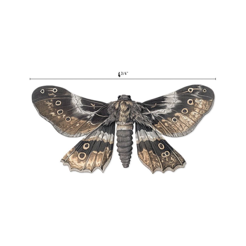 Tim Holtz idea-ology 2024 Halloween Transparencies Moths th94403