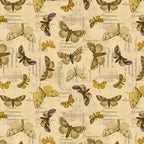 Tim Holtz idea-ology Yellow 12 x 12 Palette Paper Collection th94458 moth