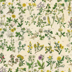 Tim Holtz idea-ology Yellow 8 x 8 Palette Paper Collection th94472 flower