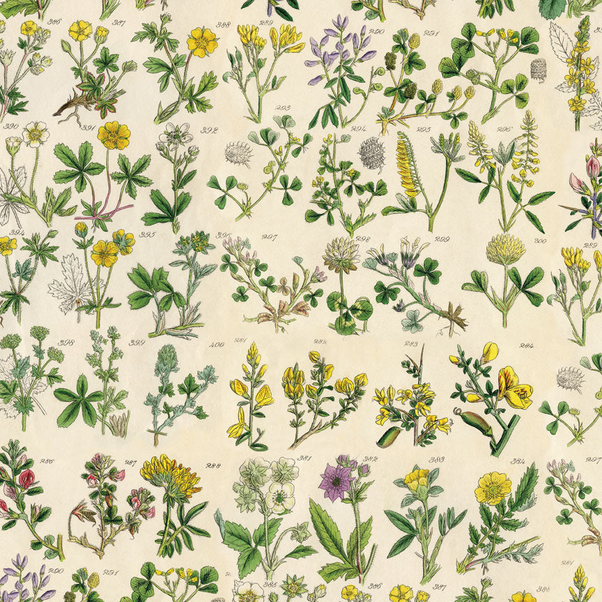 Tim Holtz idea-ology Yellow 8 x 8 Palette Paper Collection th94472 flower